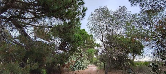 Дом с 12 спальнями в Кульера, Испания № 180487 23