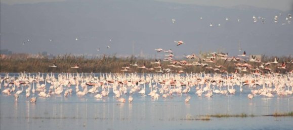 Дом с 12 спальнями в Кульера, Испания № 180487 41