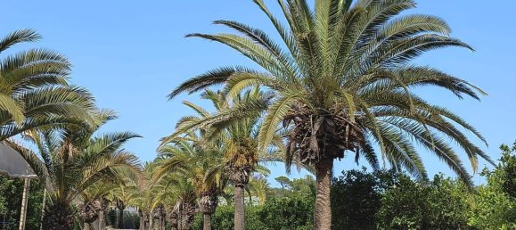 Дом с 12 спальнями в Кульера, Испания № 180487 15