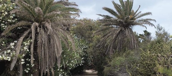 Дом с 12 спальнями в Кульера, Испания № 180487 17