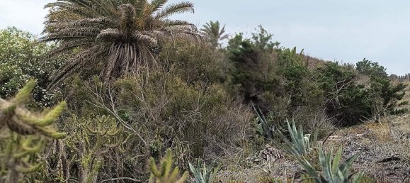 Дом с 12 спальнями в Кульера, Испания № 180487 27