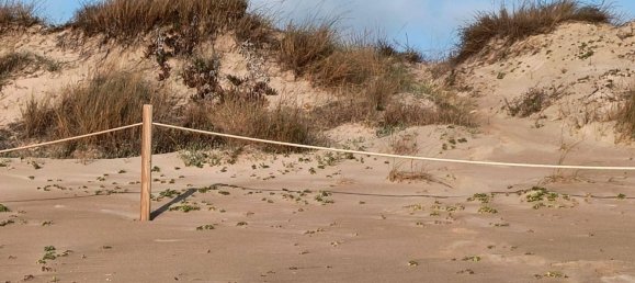 Дом с 12 спальнями в Кульера, Испания № 180487 35