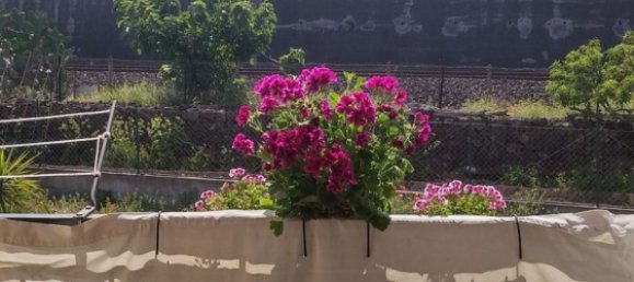 4-Zimmer Doppelhaus in Mascali, Italy, Nr. 160265 3