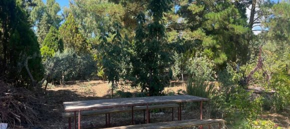 4 bedrooms Villa in Piana degli Albanesi, Italy No. 345726 14