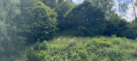 7-Zimmer Haus in Trofaiach, Austria, Nr. 218434 7