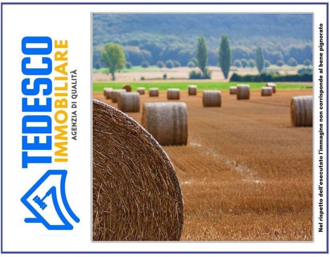 Terreno en San Giorgio La Molara, Italy 32782 m² No. 300842