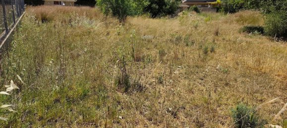 Terrain à Lliria, Spain No. 157852 14
