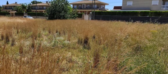 Terrain à Lliria, Spain No. 157852 10