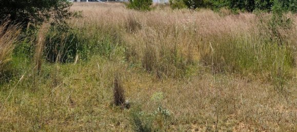Terrain à Lliria, Spain No. 157852 21
