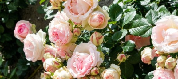 4 bedrooms House in Parmilieu, France No. 330843 22