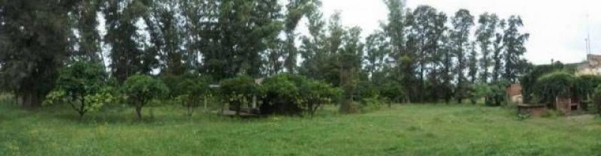 16400m² Commercial property in Lujan, Argentina No. 29815