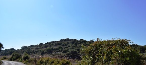 40000m² Hotel in Rethymno, Greece No. 5707 5