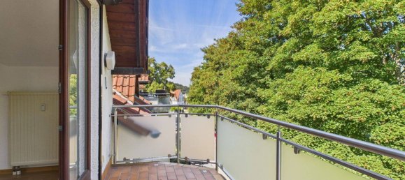 1 غرف نوم شقة في Saarbrucken, Germany رقم 278261 11