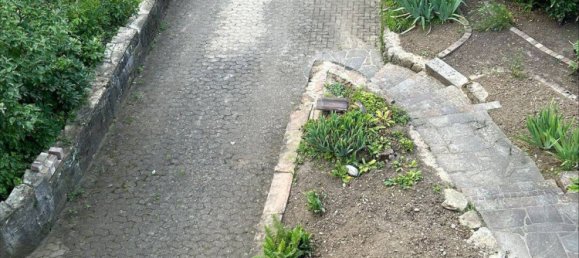 4-Zimmer Haus in Freiburg im Breisgau, Germany, Nr. 72532 3