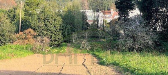 Terrain à Caminha, Portugal 570m² No. 59732 4