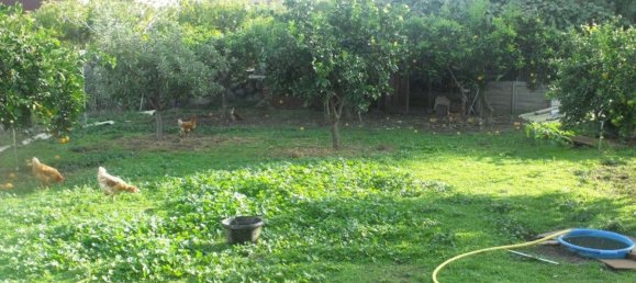  قطعة أرض في Avila, Spain 287متر مربع رقم 80224 3