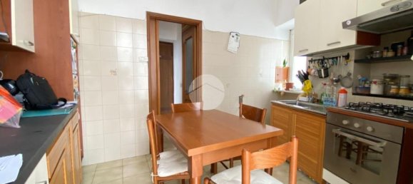 3 rooms Apartment in La Spezia, Italy No. 285225 13