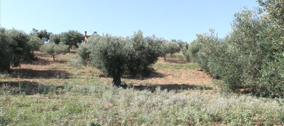 Hotel in Sporades, Greece 4042m², Nr. 7754 5