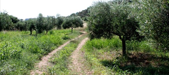 4042m² Hotel for sale in Sporades, Thessaly, Thessaly and Central Greece, Greece № 7754 3