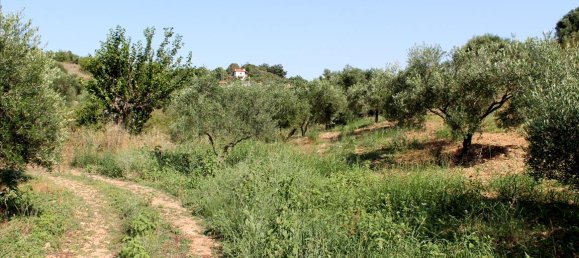 4042m² Hotel for sale in Sporades, Thessaly, Thessaly and Central Greece, Greece № 7754 2