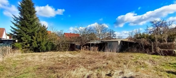 5 rooms House in Oder-Spree, Germany No. 109470 7