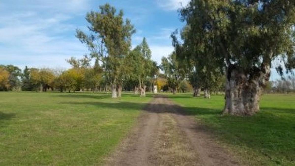 Grundstück in Almirante Brown, Argentina, Nr. 115846