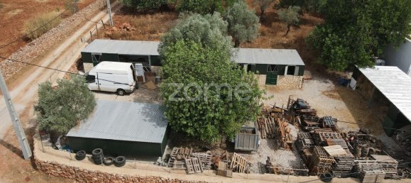 5 bedrooms House in Albufeira, Portugal No. 128871 11