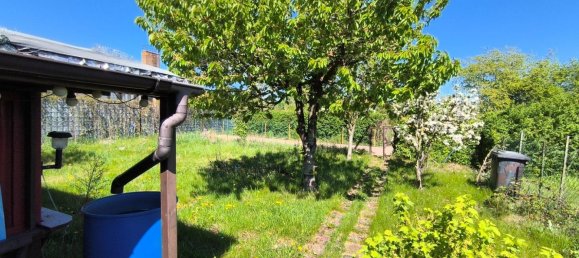  Land in Markisch-Oderland, Germany No. 287214 13