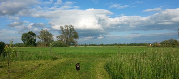  Land in Markisch-Oderland, Germany No. 287214 12