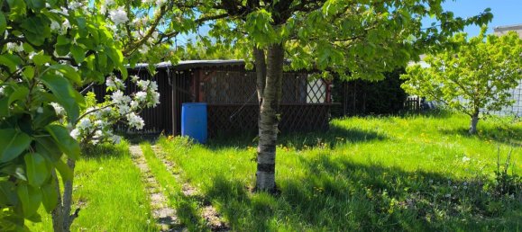  Land in Markisch-Oderland, Germany No. 287214 14