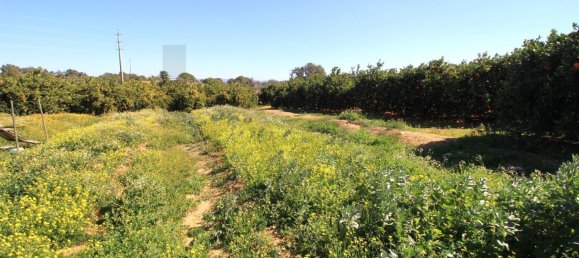 2 Schlafzimmer Haus in Silves, Portugal, Nr. 118460 34