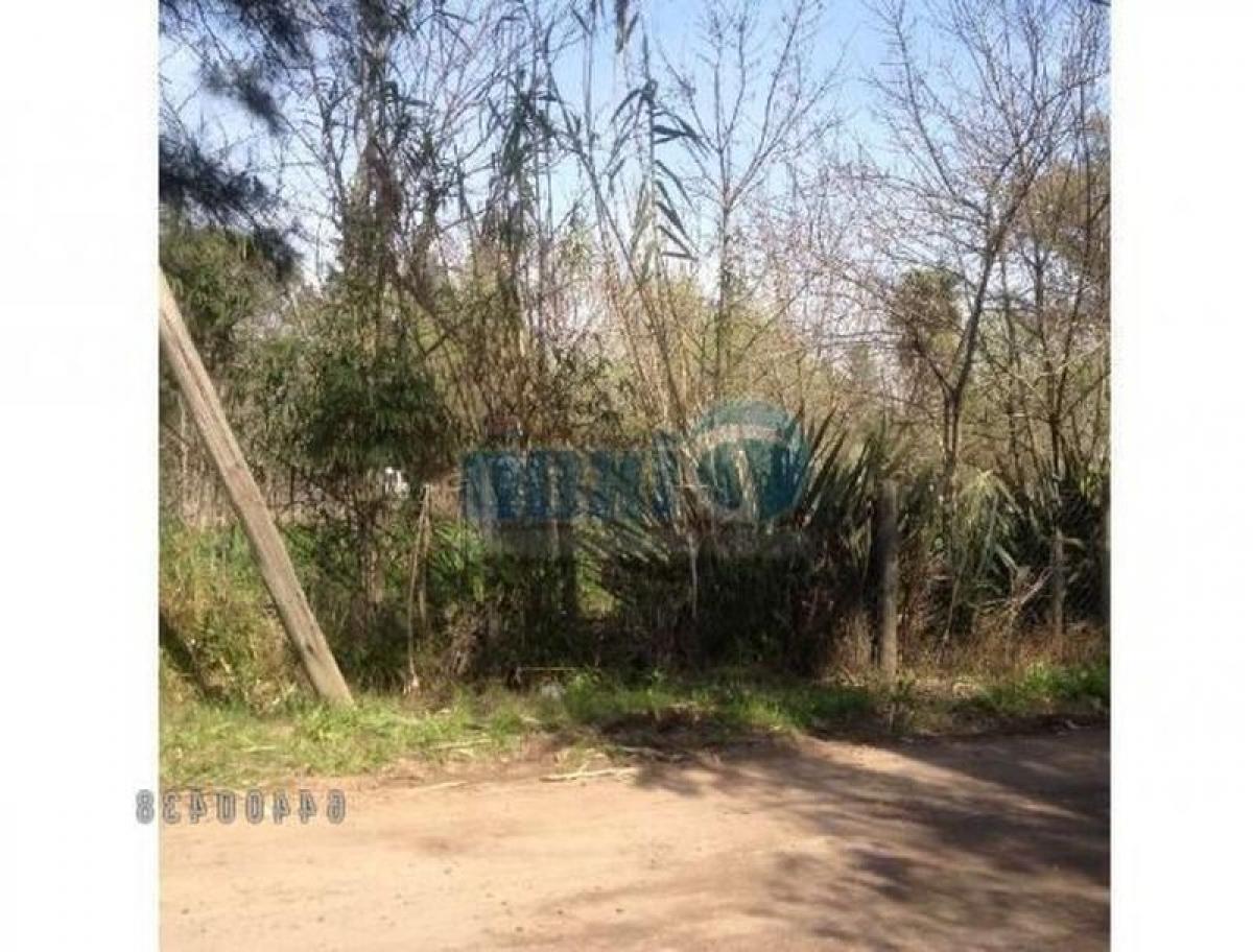  Land in Tigre, Argentina No. 117019