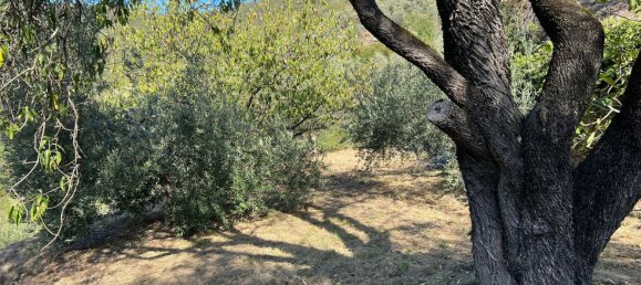 8 Schlafzimmer Villa in Casanova Lerrone, Italy, Nr. 380175 28