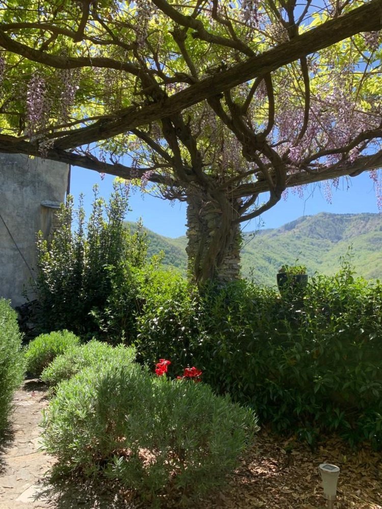 8 Schlafzimmer Villa in Casanova Lerrone, Italy, Nr. 380175