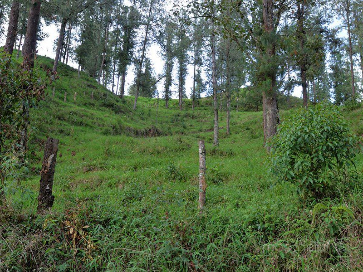  Land in Antioquia, Colombia No. 128