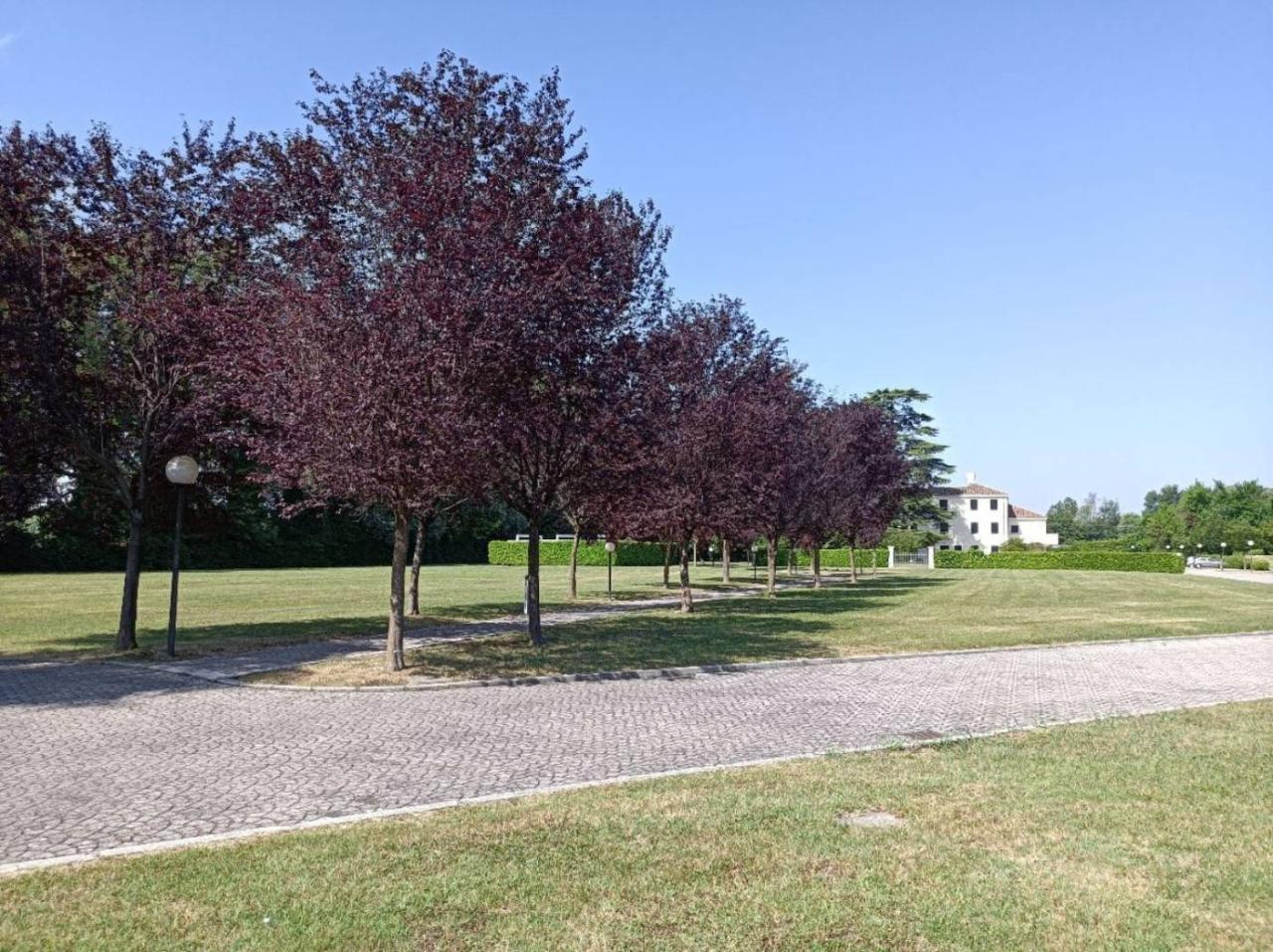 Вилла с 5 комнатами в Мольяно Венето, Италия № 134112