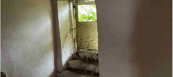 4-Zimmer Doppelhaus in Boltiere, Italy, Nr. 64367 12