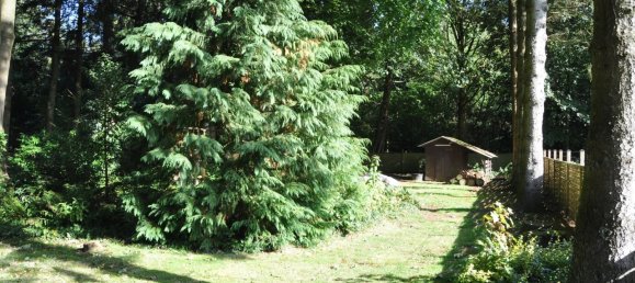 3-Zimmer Haus in Steinburg, Germany, Nr. 218164 24