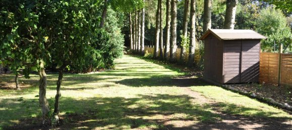 3-Zimmer Haus in Steinburg, Germany, Nr. 218164 21