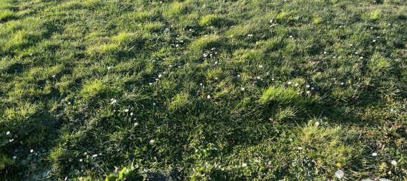  Land in Haute-Goulaine, France No. 158544 2