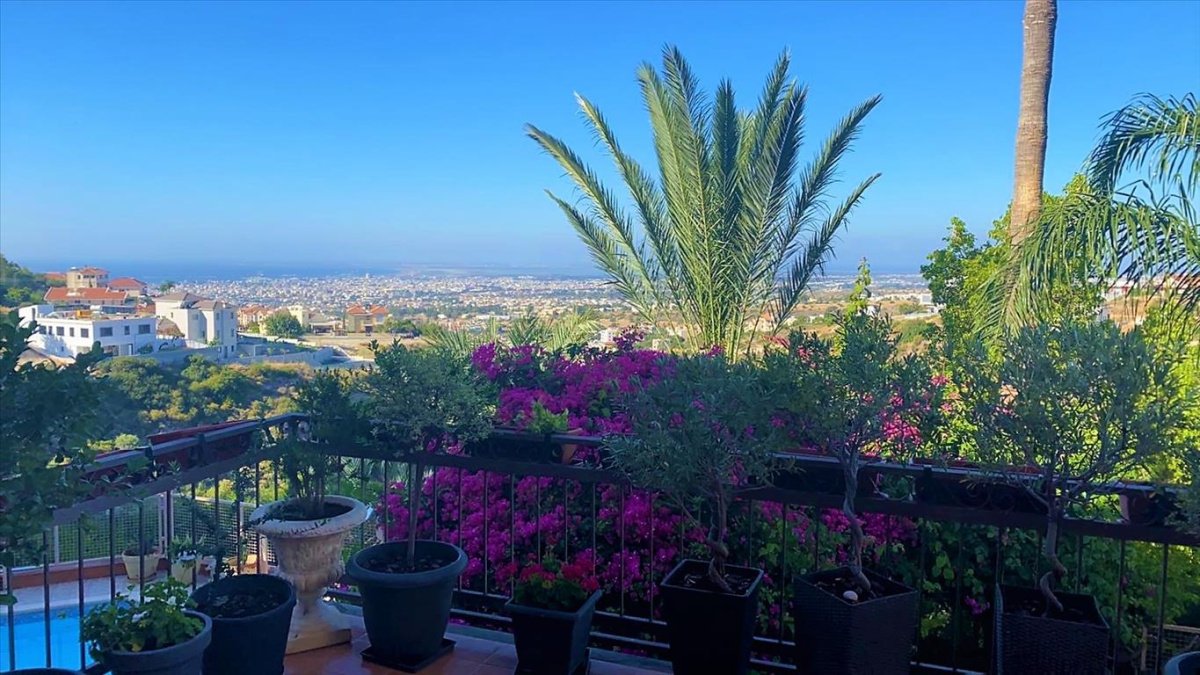 Studio in Limassol, Cyprus No. 2143