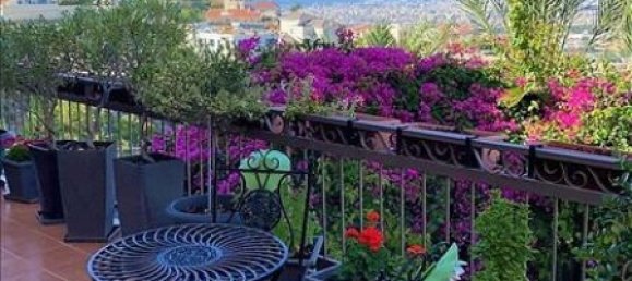 Studio in Limassol, Cyprus No. 2143 14