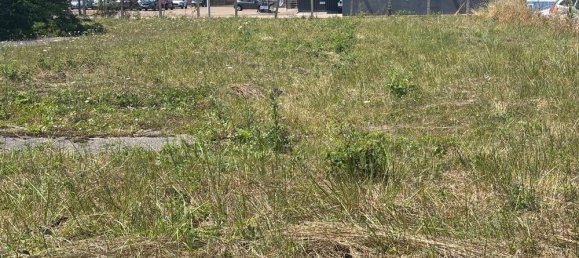 Terrain à Yonne, France 5178m² No. 287932 3