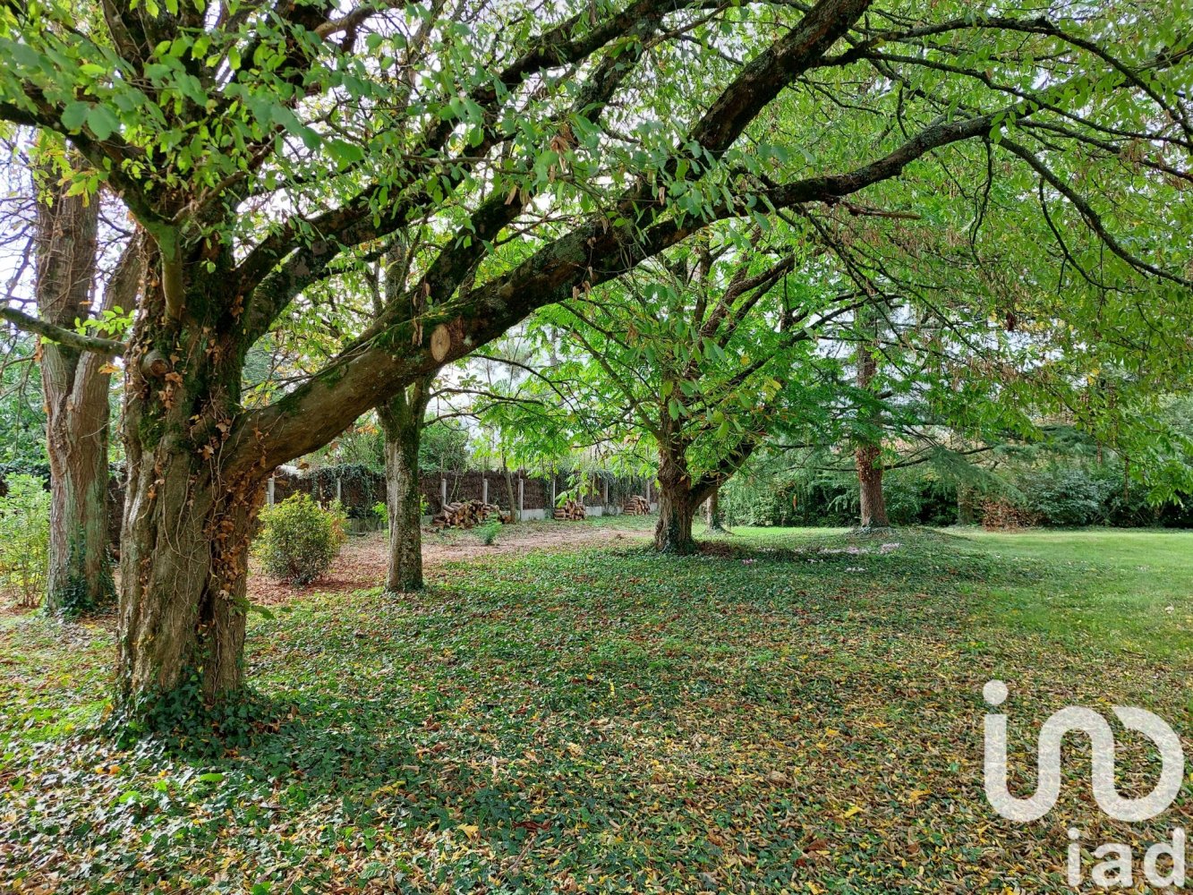 6 غرف نوم منزل في Maine-et-Loire, France رقم 106550