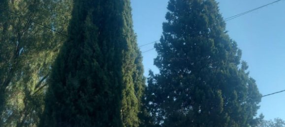 3 Schlafzimmer Haus in Andalusia, Spain, Nr. 144541 5