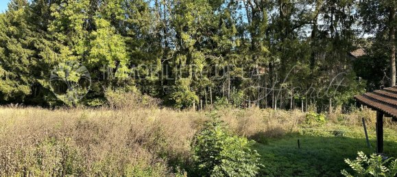  Land in Muespach, France No. 92378 4