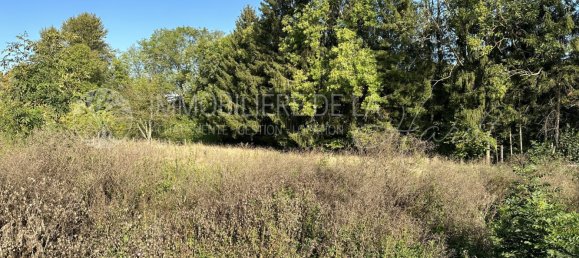  Land in Muespach, France No. 92378 2