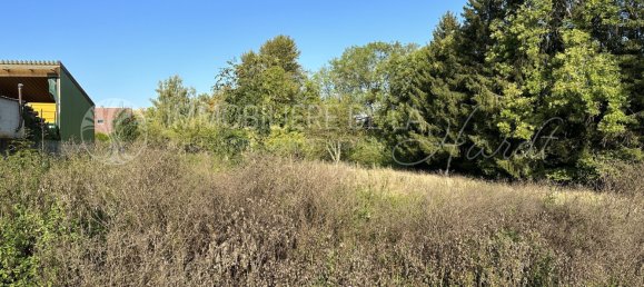  Land in Muespach, France No. 92378 3