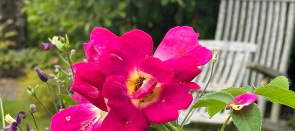 4-Zimmer Stadthaus in Pinneberg, Germany, Nr. 337101 2