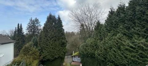 Дом с 1 спальней в Золинген, Германия № 22849 15